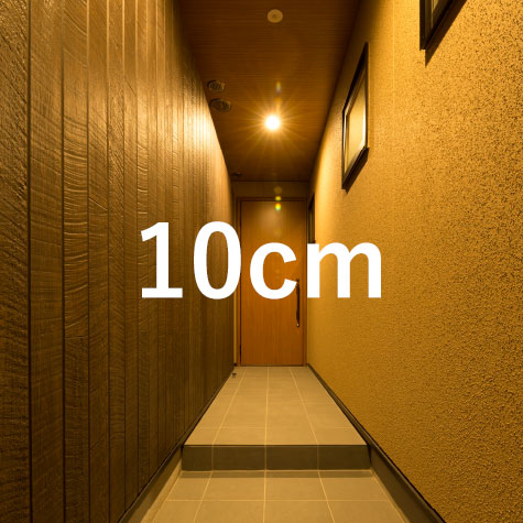 10cm